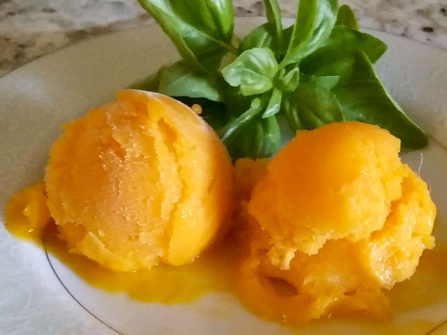 8377605-mango-sorbet-MichelleO-4x3-1-40fe0990518f4ae9aac1745de0f6b661